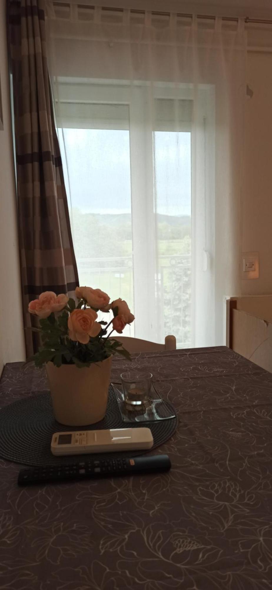 Studio Apartmani Ok Lipik 객실 사진